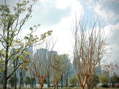 -北外滩滨江绿地