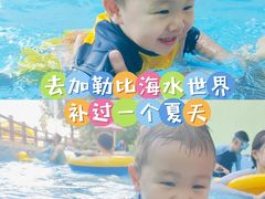 -重庆海昌加勒比海水世界