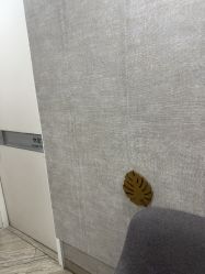 -深圳鹏爱秀琪医疗美容医院