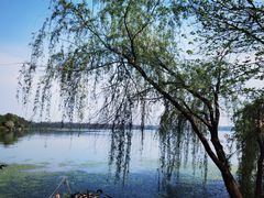 -东湖磨山景区