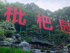 -枇杷园食为鲜火锅(南山店)