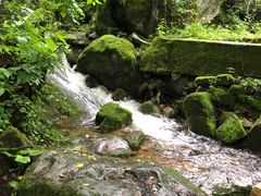 -陕西省红河谷森林公园