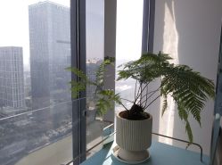 -颜蕾医美黄金微针水光玻尿酸超声炮抗衰中心