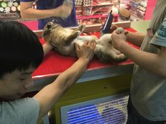 -宠物兔专门店(天丰利市场店)