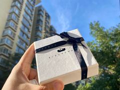 -BLACKSWAN黑天鹅(环球店)