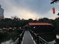 -侨美·唐荔园·40年地道粤菜