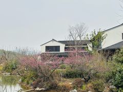 -雅达·阳羡溪山小镇中心