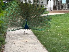 -金庭庄园酒店-停车场