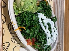 -油梨树 AVOCADO TREE(亮马桥店)
