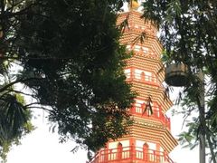 -中山公园(石岐街道)