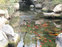 -趵突泉景区