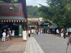 -野象谷景区