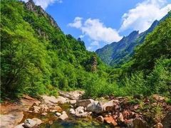 -青峰峡国家森林公园