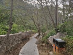 -大岭沟猕猴桃谷风景区