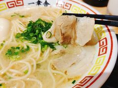 博多屋台拉面-博多舍楽(金利来店)
