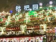 -枇杷园食为鲜火锅(南山店)