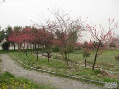 -知鱼轩