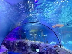 -沈阳海洋探索中心