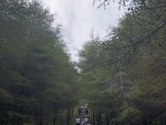 -山西通天峡景区