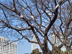 -人民广场
