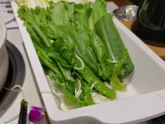 -菌彩云南野生菌火锅(呈贡七彩云南第壹城店)