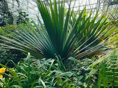 -南山植物园