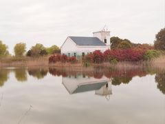 -泗洪洪泽湖湿地景区