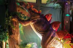 -恐龙探索乐园(磁器口店)