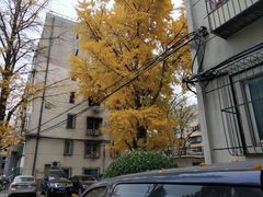 -北京大学第一医院(西城厂桥院区)