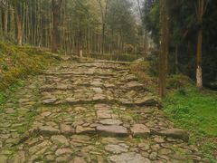 -仙霞关景区