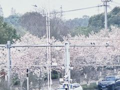 -苏州上方山国家森林公园