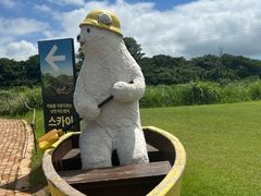 -济州森林小火车生态公园