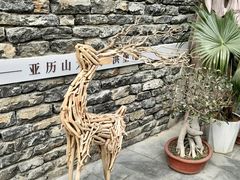 -济南植物园