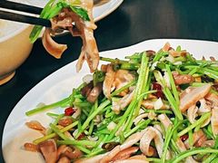 -柒號馆天津菜·八珍豆腐·牛窝骨