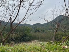 -黄埔油麻山森林公园