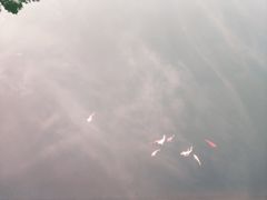 -东部华侨城