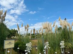 -云禾壹海景庄园餐厅