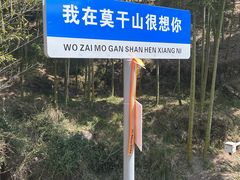 -莫干山风景区