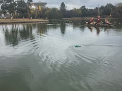 -上海佘山世茂艾美酒店