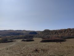 -塞罕坝国家级自然保护区