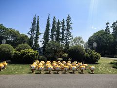 -上海长兴岛郊野公园