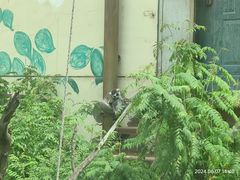 -青藏高原野生动物园