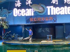 -苏州海洋馆