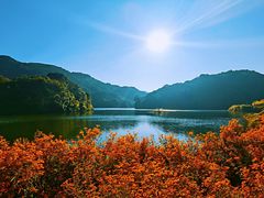 -广州市石门国家森林公园