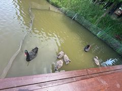 -宁波杭州湾国家湿地公园