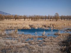 -野鸭湖国家湿地公园
