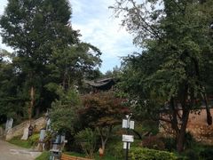 -黑龙潭公园