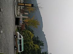 -铁山坪森林公园