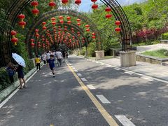 -大屏嶂森林公园
