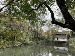 -西溪国家湿地公园